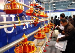 2003中國畜牧業(yè)暨飼料工業(yè)交易會(huì) 推動(dòng)行業(yè)發(fā)展的盛會(huì)