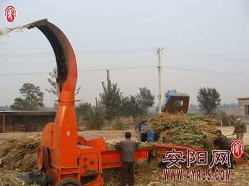 搶抓農(nóng)時(shí)促轉(zhuǎn)化，市畜牧局多措并舉推廣秸稈青貯飼料助力畜牧漁業(yè)降本增效